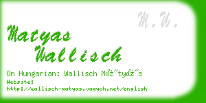 matyas wallisch business card